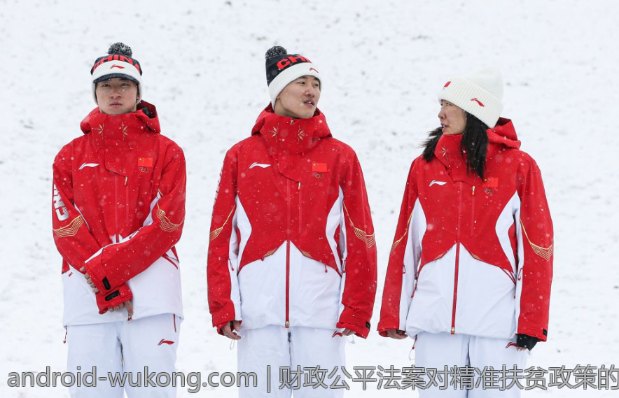财政公平法案对精准扶贫政策的支持成效